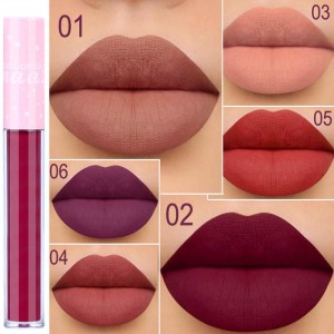 6 Color matte daily makeup smooth texture lip gloss FS-NC