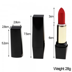 lipstick private label makeup cosmetics wholesale retail waterproof  long lasting matte lipstick make your own brand