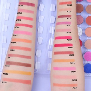 160 color matte gloss free matching 12 color eyeshadow palette-MSEDZ12