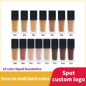 OEM Concealer 15 Color Liquid Foundation Matte Concealer Makeup-MSWL02