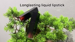 27 color neutral lip gloss no logo lip glaze non-stick cup matte lip glaze moisturizing lip glaze——MY09