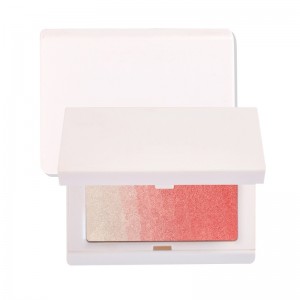 Private label custom portable blush, highlighting and repairing one matte nude makeup to brighten-SH-JBW