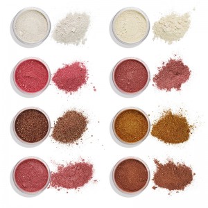 Customize Private Label 8 colors high gloss loose powder pearl powder metal bright  concealer neutral foundation-8CHIG