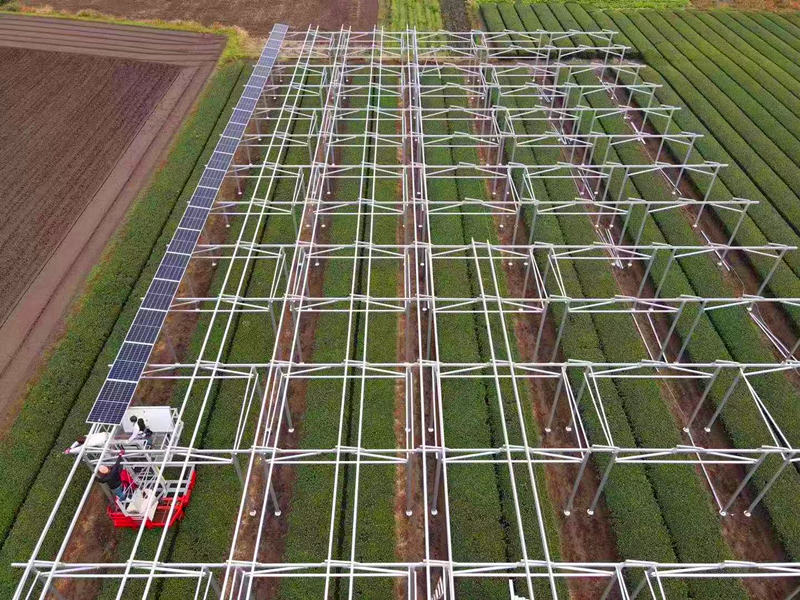 Customization photovoltaic farmland mounting system