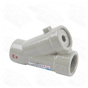 Leading Manufacturer for Atex Explosion Proof Led Lights - BCG Explosion Proof Sealing Fittings – Sunleem