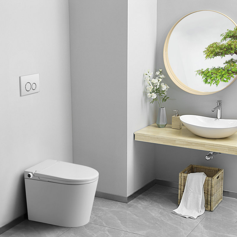 Uncover 6 Mistakes of Cover Plate and Intelligent Toilet