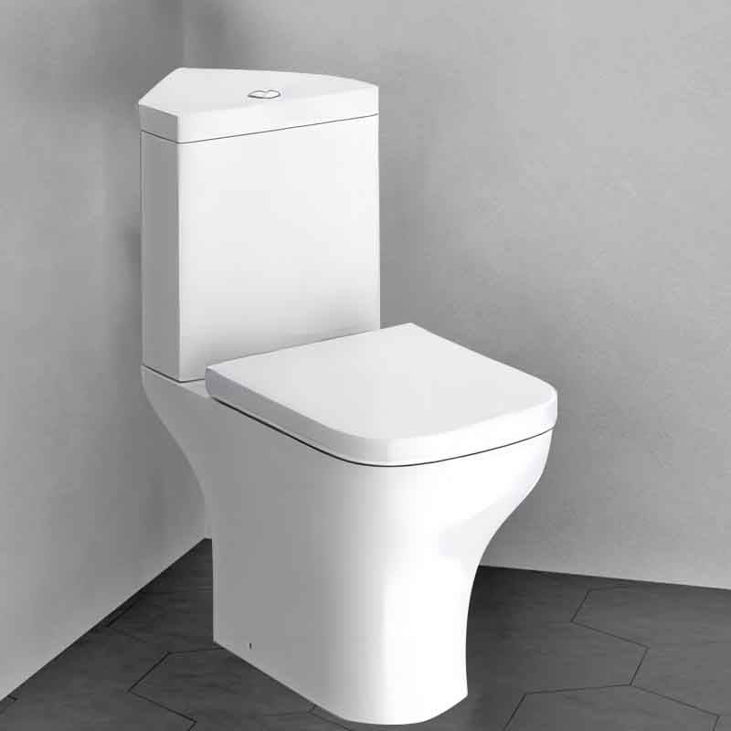 Beyond Functionality: The Surprising Features of Modern Toilets