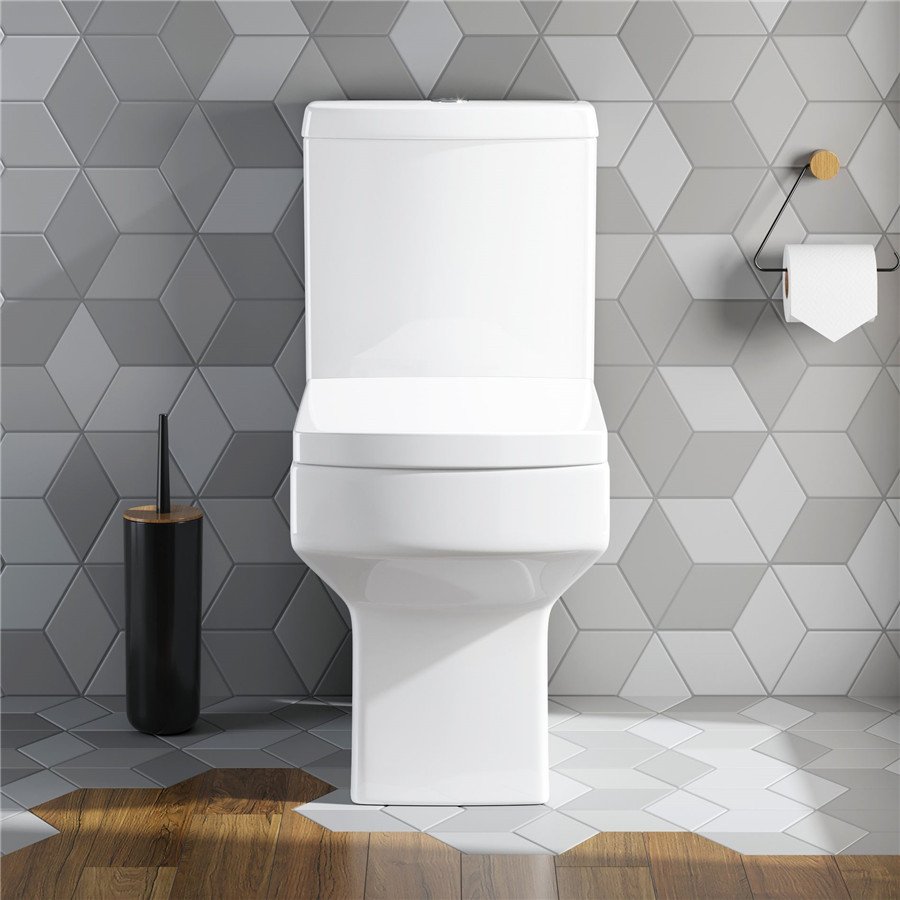 Close coupled floor standing sanitary toilet