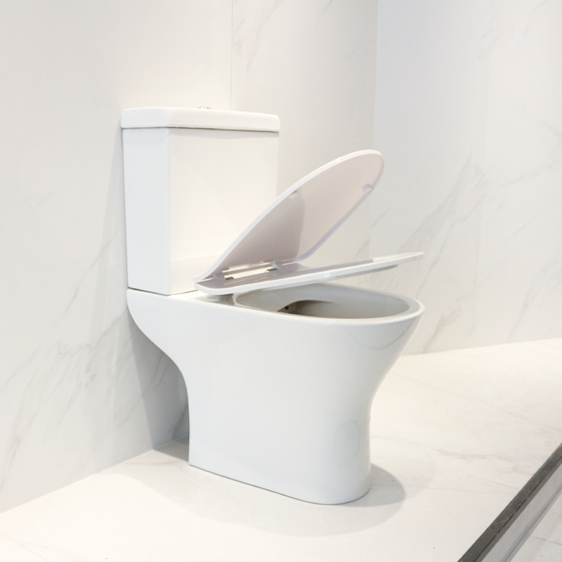 Step into the Future: Embracing the Modern Toilet Movement