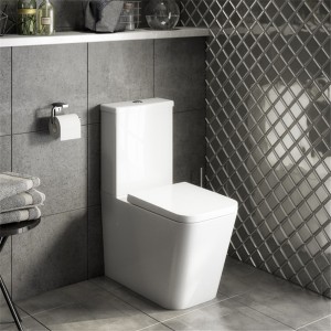 Good Quality Compost Toilet System - Close coupled bathroom ceramic europe toilet – Sunrise