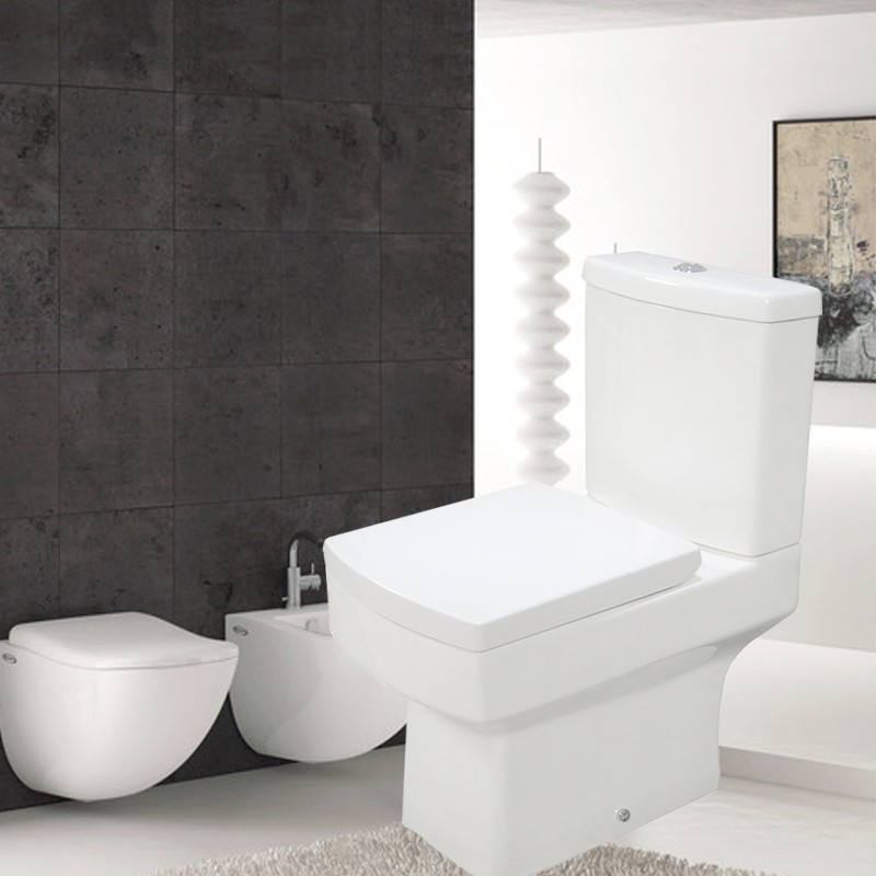 Discover the Beauty and Durability of Ceramic Toilets for Your Home