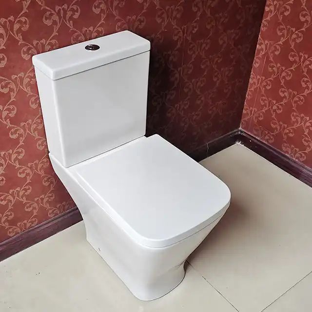 What is the best toilet on market?