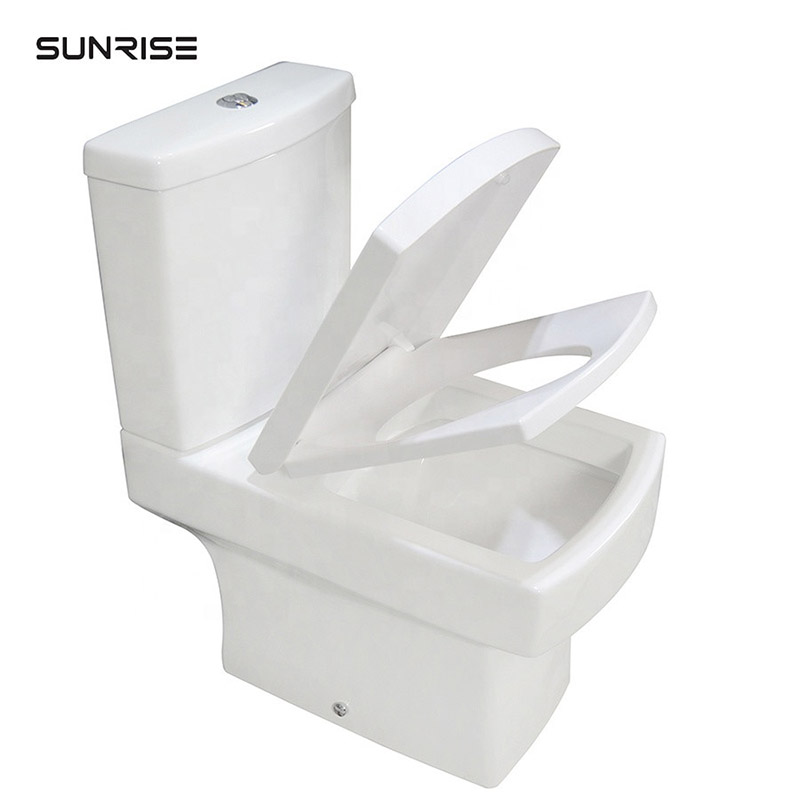 Close coupled floor standing sanitary toilet