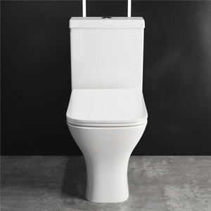 More and more people are using this toilet for bathroom decoration, which is convenient to use and clean and hygienic