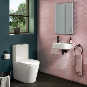 Elegant Design Two Piece Toilet
