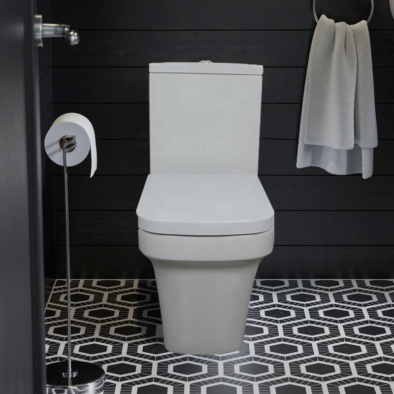 WC Washdown Ceramic Sanitary Ware Toilet