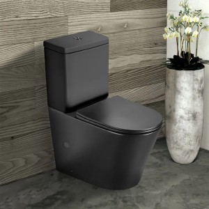 how to clean a black ceramic toilet bowl