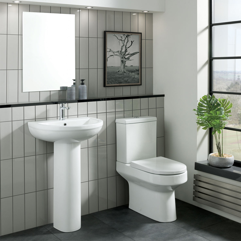 Floor Mounted Ceramic Siphonic One-Piece Toilets The Ultimate Guide