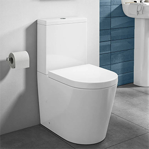 Introduction to siphon and direct flush toilets