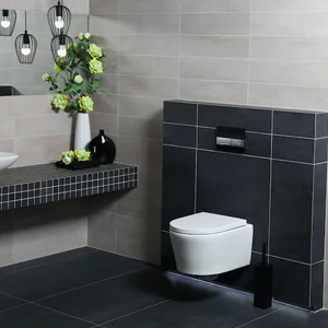 The Evolution and Efficiency of Direct Flush Toilets