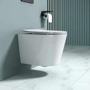 The Evolution and Functionality of Water Closet Toilets