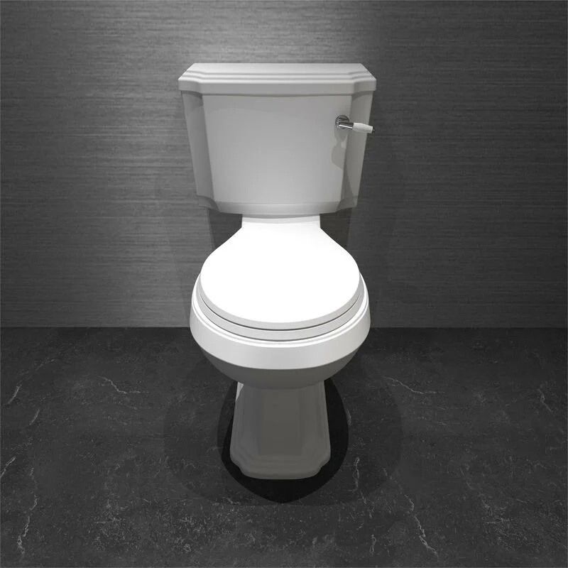 A Detailed Analysis of Two-Piece Toilet Systems