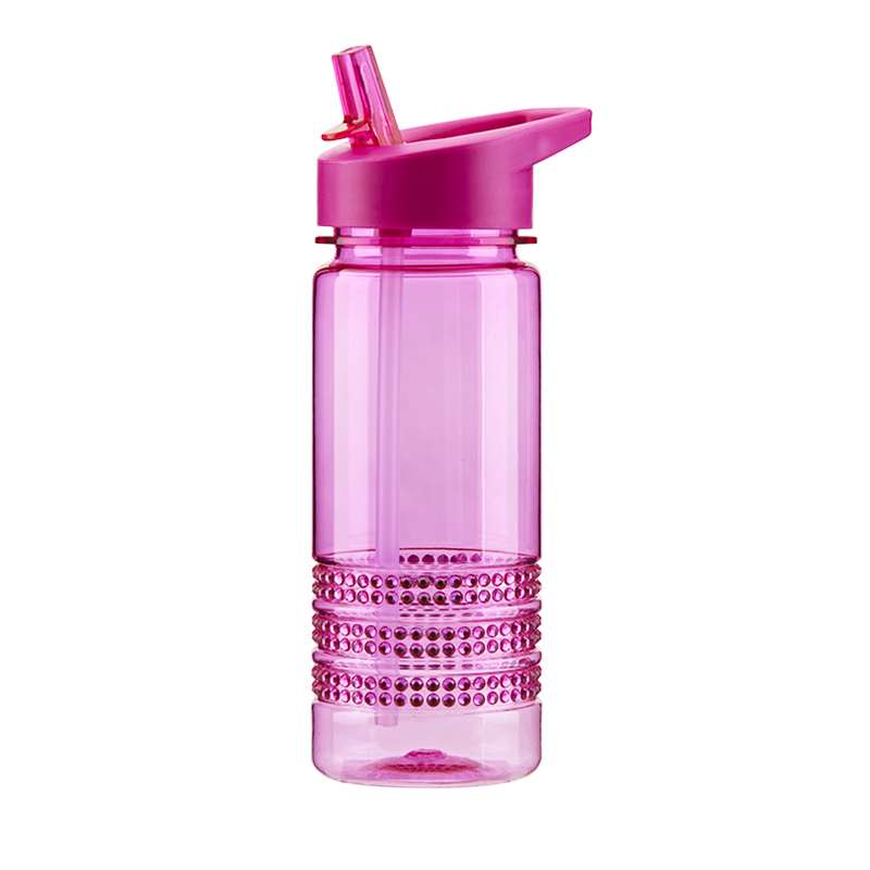2020 Wholesale Price Sport Water Bottle - 100% BPA free 600ml leak-proof plastic sport water bottle with straw – SUNSUM