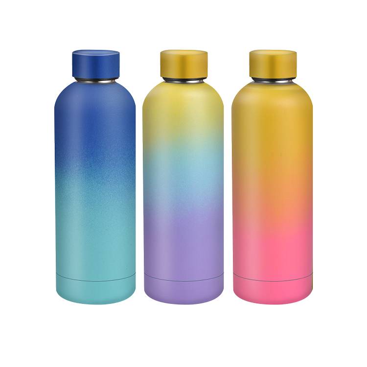 New Custom products Double Insulated Water Bottle (6)