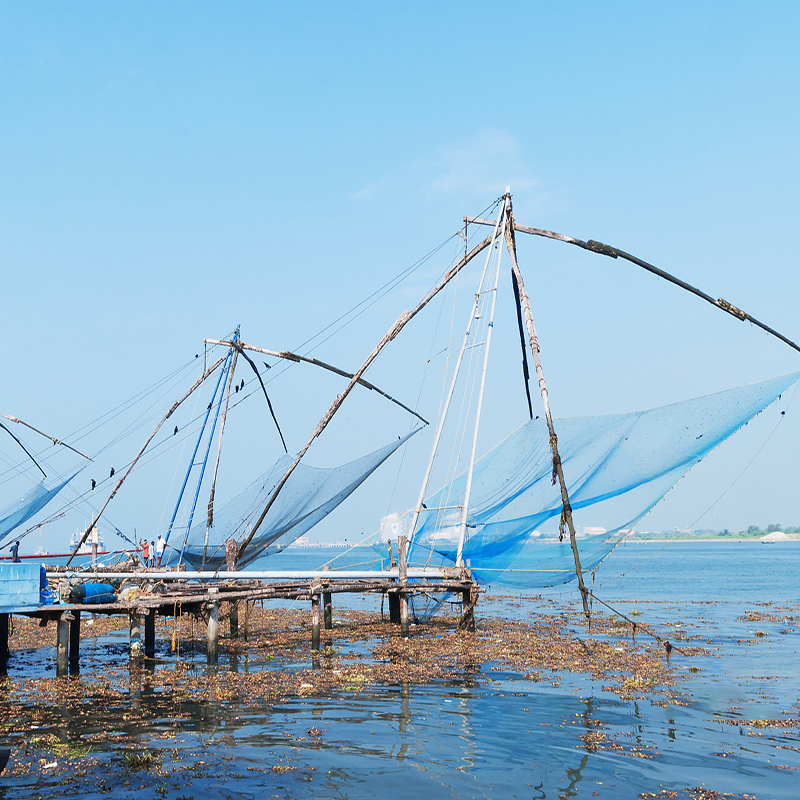 How to choose the right fishing net?