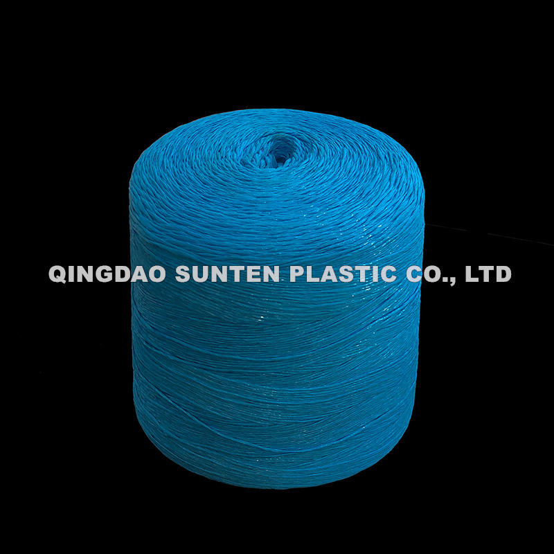 China Suppliers UV Treated Agriculture Farm Plastic 2 Ply Baler Twine -  China Baling Twine for Hay Baler, Polypropylene PP Baler Twine Rope