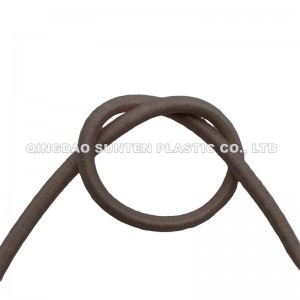 Corda elastica (corda elastica elastica)