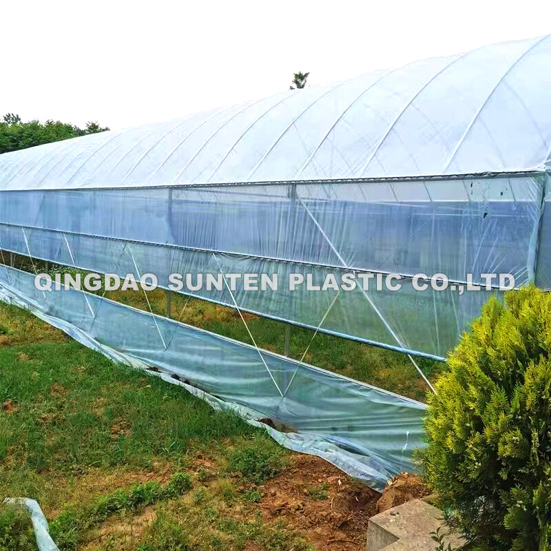 China Laminated Transparent Film Clear PVC Greenhouse Stationery Mesh Sheet  Manufacturers Suppliers Factory