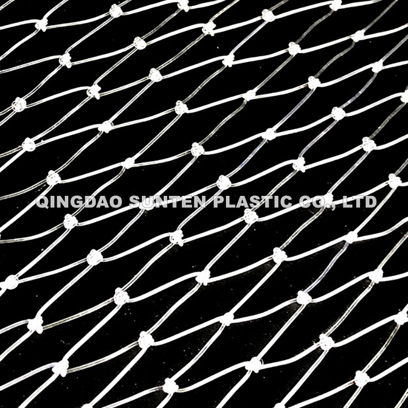 Nylon White Fish Net Big, Large / Monofilament Fish Gill Net / 60X5 feet at  Rs 800/piece in Imphal