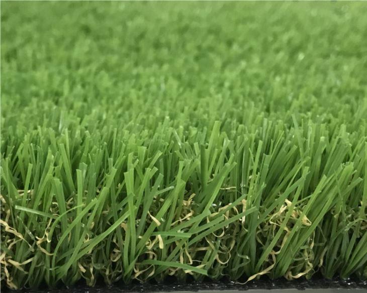 Green Lawn Grass