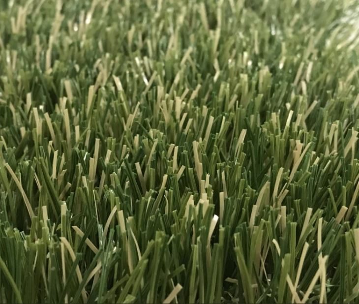 Cal Turf has a beautiful vision for your drab yard | YourCentralValley.com