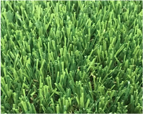 The Benefits of Safe and Non-Toxic Grasses for Your Lawn and Garden