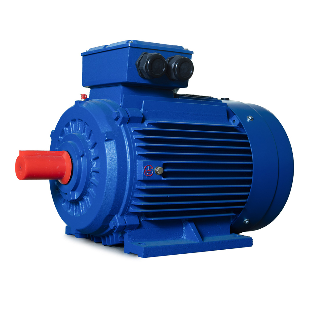 IE4 Series Super-High Efficiency  Induction Motor Featured Image