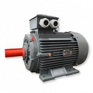 Cast iron motor IE3 Series  Motor
