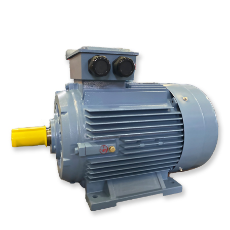 Wholesale IE4 Series Super-High Efficiency Induction Motor Manufacturer and  Supplier