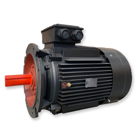 Industrial motors IE4 Series Motor Featured Image