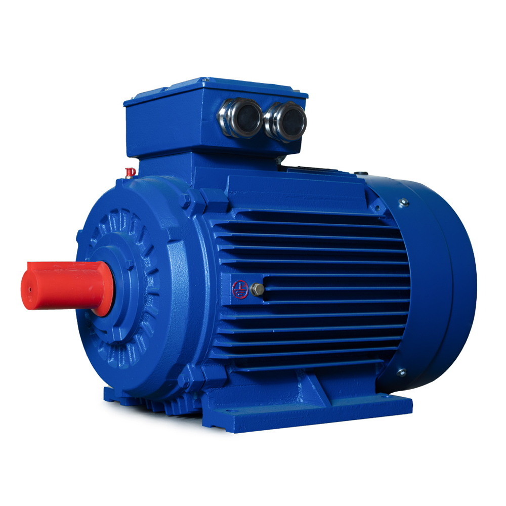 Y-H Series Marine Three-Phase Induction Motor Featured Image