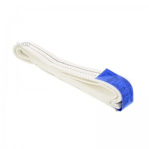 High Quality Flat Webbing Sling 1t2t3t4t5t6t8t10t12t Manufacturer –  Polyester endless webbing sling – Suoli