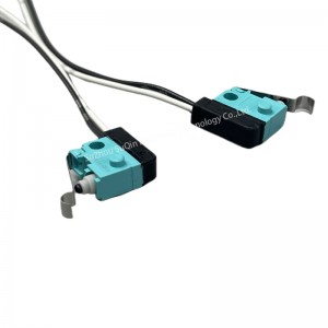 ASQ10238 waterdichte mikro-switch mei draad Twa-wire mikro-switch foar auto-doarhandgreep