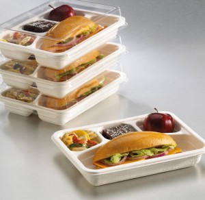 Biodegradable tableware bagasse pulp  food container take away box