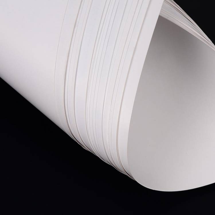 White Paper Rolls for Artists for sale