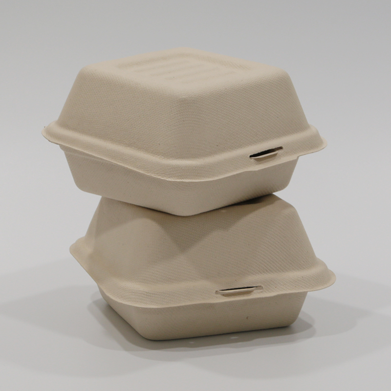 Biodegradable Tableware Togo Boxes for Food 2 Compartments - China