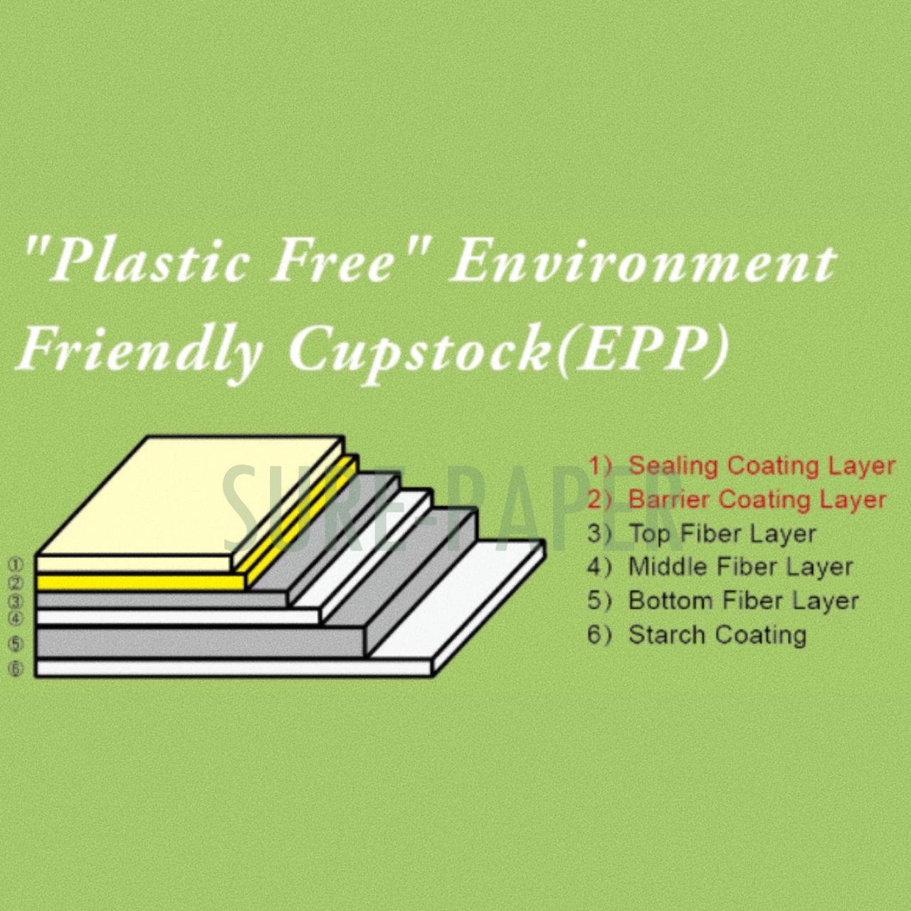 new design From APP friendly cupstock (EPP coated)Food Grade Bio de-gradeable paper Featured Image