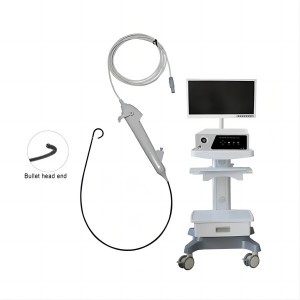 Disposable medical electronic choledochoscope