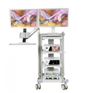 FHD 910 endoscopic camera system