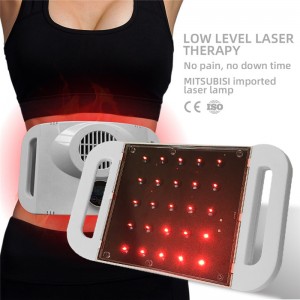 Fast delivery Slimming Device - Handhold 160mw Lipolaser Pad cellulite reduction machine – SUSLASER